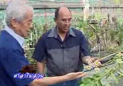 ศาลาริมสวน ตอน กล้วยไม้พื้นบ้าน ศูนย์วิจัยพืชสวนศรีสะเกษ